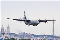 Jos Miguel Bernases - Noisy Spotters. Click to see full size photo