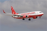 Alfonso Sols - Asociacin Canary Islands Spotting. Click to see full size photo