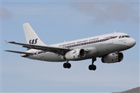 Alfonso Sols - Asociacin Canary Islands Spotting. Haz click para ampliar
