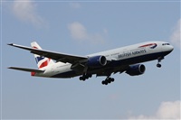 Alfonso Sols - Asociacin Canary Islands Spotting. Click to see full size photo