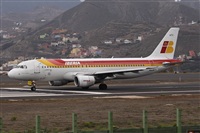 ©Alfonso Solís - Asociación Canary Islands Spotting. Click to see full size photo ©Alfonso Solís - Asociación Canary Islands Spotting. Click to see full size photo