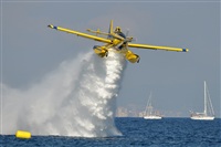 Rubn Gil - Noisy Spotters. Click to see full size photo