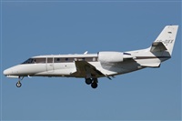 Rodrigo Carvalho - Noisy Spotters. Click to see full size photo