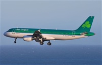 Alejandro Bethencourt (Canary Islands Spotting). Click to see full size photo