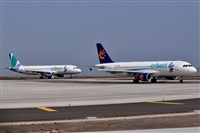 Miguel A. gueda Rguez.  (CANARY ISLANDS SPOTTING). Click to see full size photo