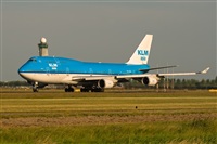 Javier de la Cruz - CANARY ISLANDS SPOTTING. Click to see full size photo