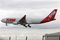 Jos Miguel Bernases - Noisy Spotters. Click to see full size photo