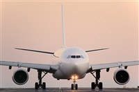 Javier de la Cruz - CANARY ISLANDS SPOTTING. Click to see full size photo