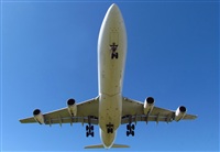 Ivan Nievas Zorn -Spotters Cordoba-. Click to see full size photo