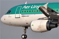 Rubn Gil - Noisy Spotters. Click to see full size photo