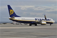Miguel A. gueda Rguez.  (CANARY ISLANDS SPOTTING). Click to see full size photo