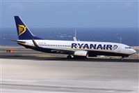 Alfonso Sols - Asociacin Canary Islands Spotting. Click to see full size photo