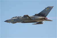 Justo Miguel Prieto. ( Malaga Spotters). Click to see full size photo