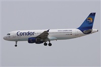 Alfonso Sols - Asociacin Canary Islands Spotting. Click to see full size photo