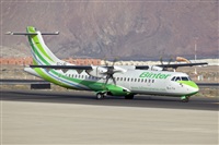 Javier de la Cruz - CANARY ISLANDS SPOTTING. Click to see full size photo