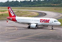Fabio Duarte - Manaus Spotting Team. Click to see full size photo