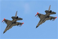 Tams. Click to see full size photo