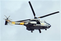J. Victor Vega-Gran Canaria Spotters. Click to see full size photo