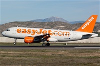 Luciano Fumero( freedom spotter)canary island spotting. Click to see full size photo