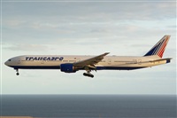Saimon J Rodriguez   -   Canary Islands Spotting. Click to see full size photo