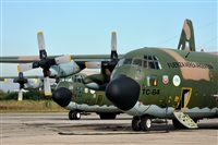 Hernn Attaguile. Click to see full size photo