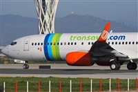 Miguel Alia - Noisy Spotters. Click to see full size photo