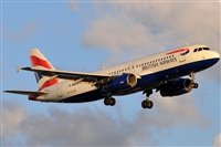 Rubn Gil - Noisy Spotters. Click to see full size photo