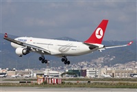 Miguel Alia - Noisy Spotters. Click to see full size photo