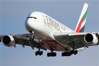 Rubn Gil - Noisy Spotters. Click to see full size photo