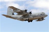 ©Adolfo Bento - Gran Canaria Spotters. Click to see full size photo ©Adolfo Bento - Gran Canaria Spotters. Click to see full size photo