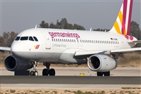 Miguel Alia - Noisy Spotters. Click to see full size photo