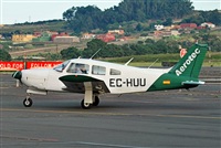 Alejandro Bethencourt (Canary Islands Spotting). Click to see full size photo