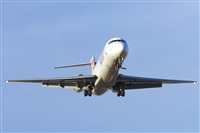 Saimon J Rodriguez   -   Canary Islands Spotting. Click to see full size photo
