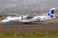 Miguel A. gueda Rguez.  (CANARY ISLANDS SPOTTING). Click to see full size photo