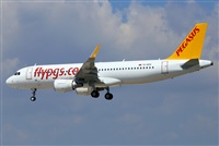 Josep Oll. Click to see full size photo