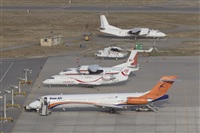 ©Manuel Acosta Zapata LMDT Spotters. Click to see full size photo ©Manuel Acosta Zapata LMDT Spotters. Click to see full size photo