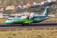 Javier de la Cruz - CANARY ISLANDS SPOTTING. Click to see full size photo