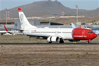 ©Alfonso Solís - Asociación Canary Islands Spotting. Click to see full size photo ©Alfonso Solís - Asociación Canary Islands Spotting. Click to see full size photo