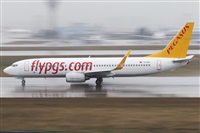 Rubn Gil - Noisy Spotters. Click to see full size photo