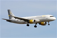©Alfonso Solís - Asociación Canary Islands Spotting. Click to see full size photo ©Alfonso Solís - Asociación Canary Islands Spotting. Click to see full size photo
