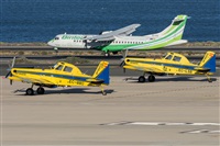 Adolfo Bento - Gran Canaria Spotters. Click to see full size photo