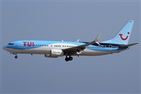 Alfonso Sols - Asociacin Canary Islands Spotting. Haz click para ampliar