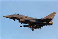 ©J. Victor Vega-Gran Canaria Spotters. Click to see full size photo ©J. Victor Vega-Gran Canaria Spotters. Click to see full size photo