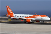 Alfonso Sols - Asociacin Canary Islands Spotting. Haz click para ampliar