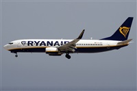 ©Alfonso Solís - Asociación Canary Islands Spotting. Click to see full size photo ©Alfonso Solís - Asociación Canary Islands Spotting. Click to see full size photo