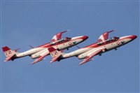 Tams. Click to see full size photo
