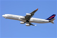 Miguel A. gueda Rguez.  (CANARY ISLANDS SPOTTING). Click to see full size photo