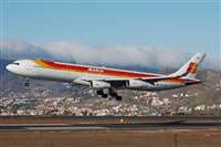 Miguel A. gueda Rguez.  (CANARY ISLANDS SPOTTING). Click to see full size photo