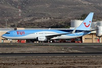 Alfonso Sols - Asociacin Canary Islands Spotting. Haz click para ampliar