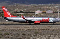 ©Alfonso Solís - Asociación Canary Islands Spotting. Click to see full size photo ©Alfonso Solís - Asociación Canary Islands Spotting. Click to see full size photo